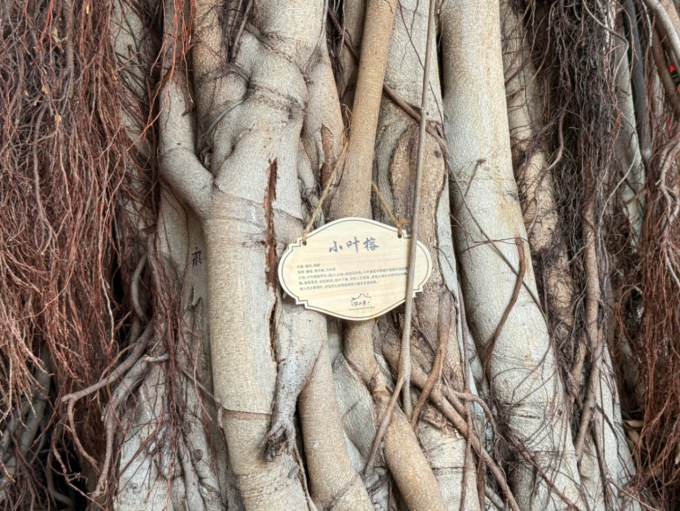 福州—三坊七巷