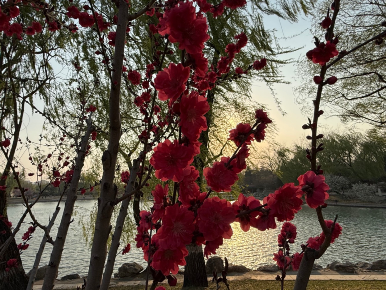 北京的春