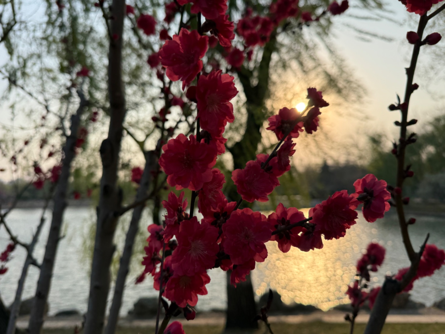 北京的春