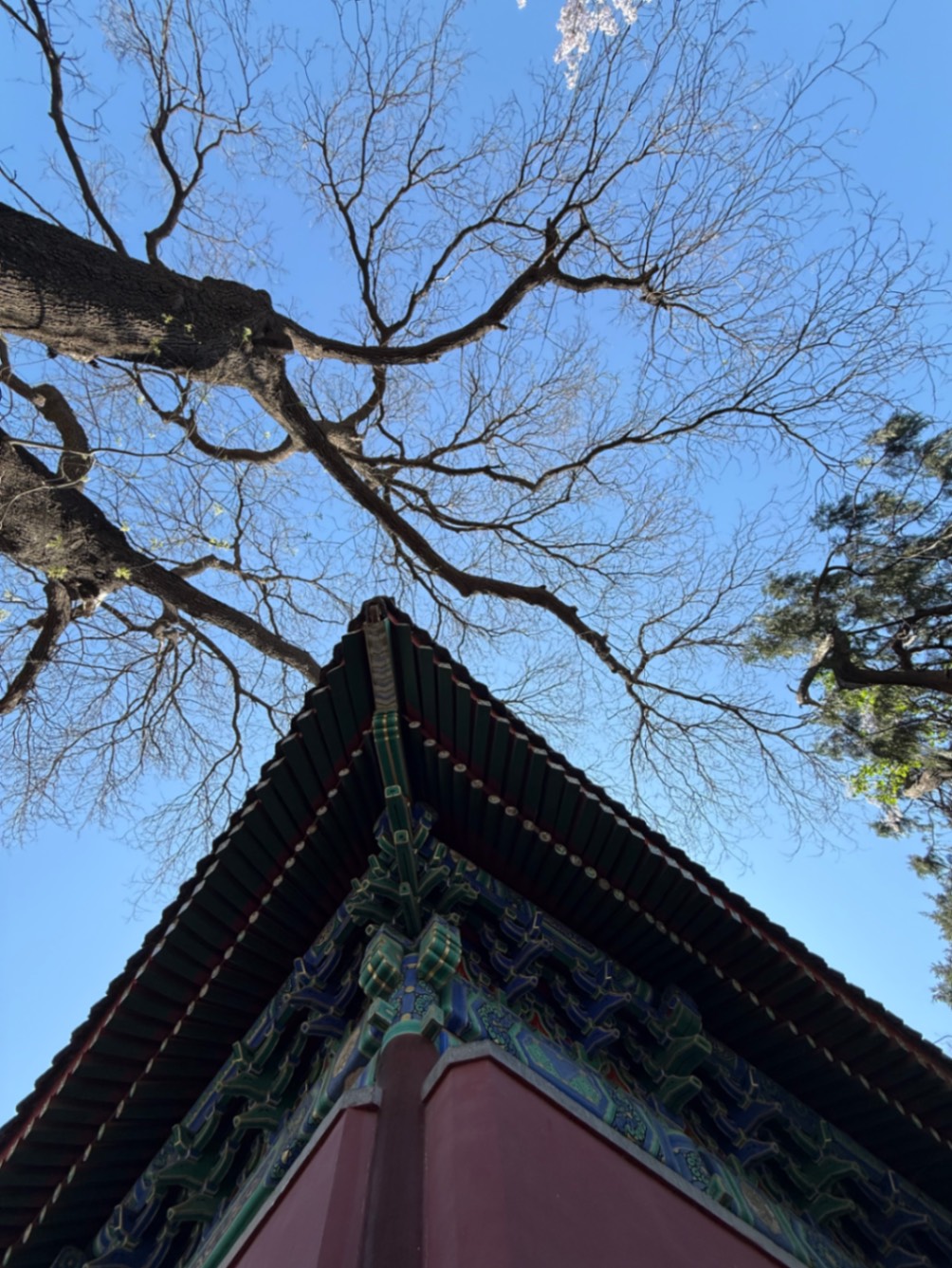 法源寺的火锅