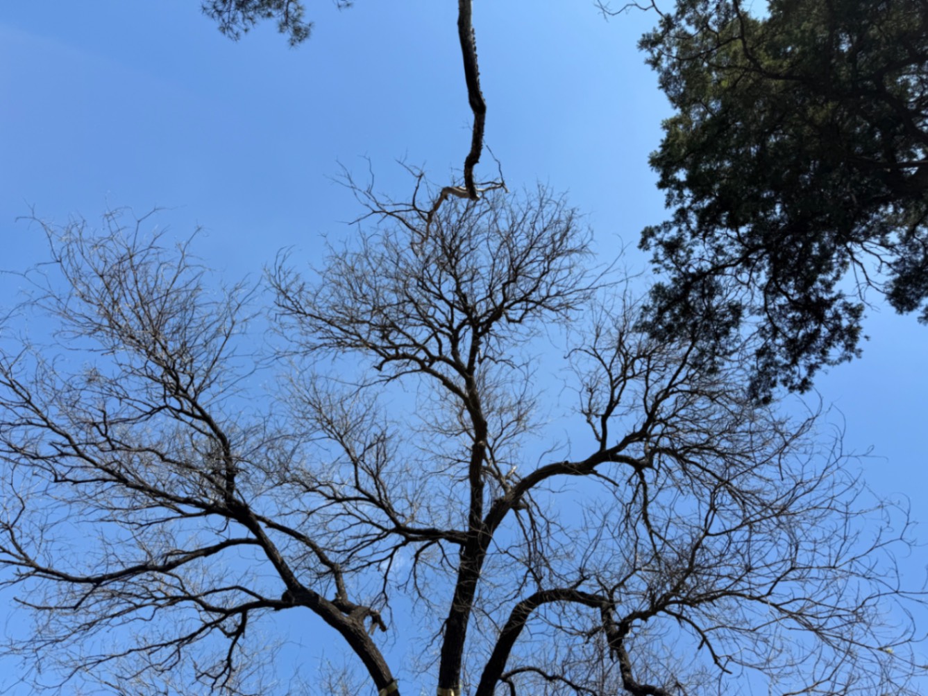 法源寺的火锅