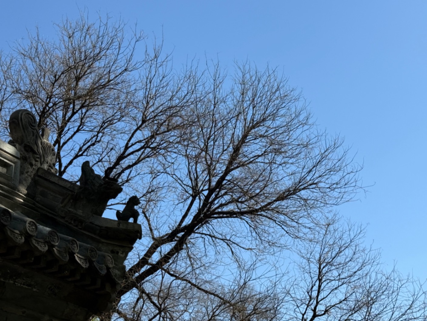 法源寺的火锅
