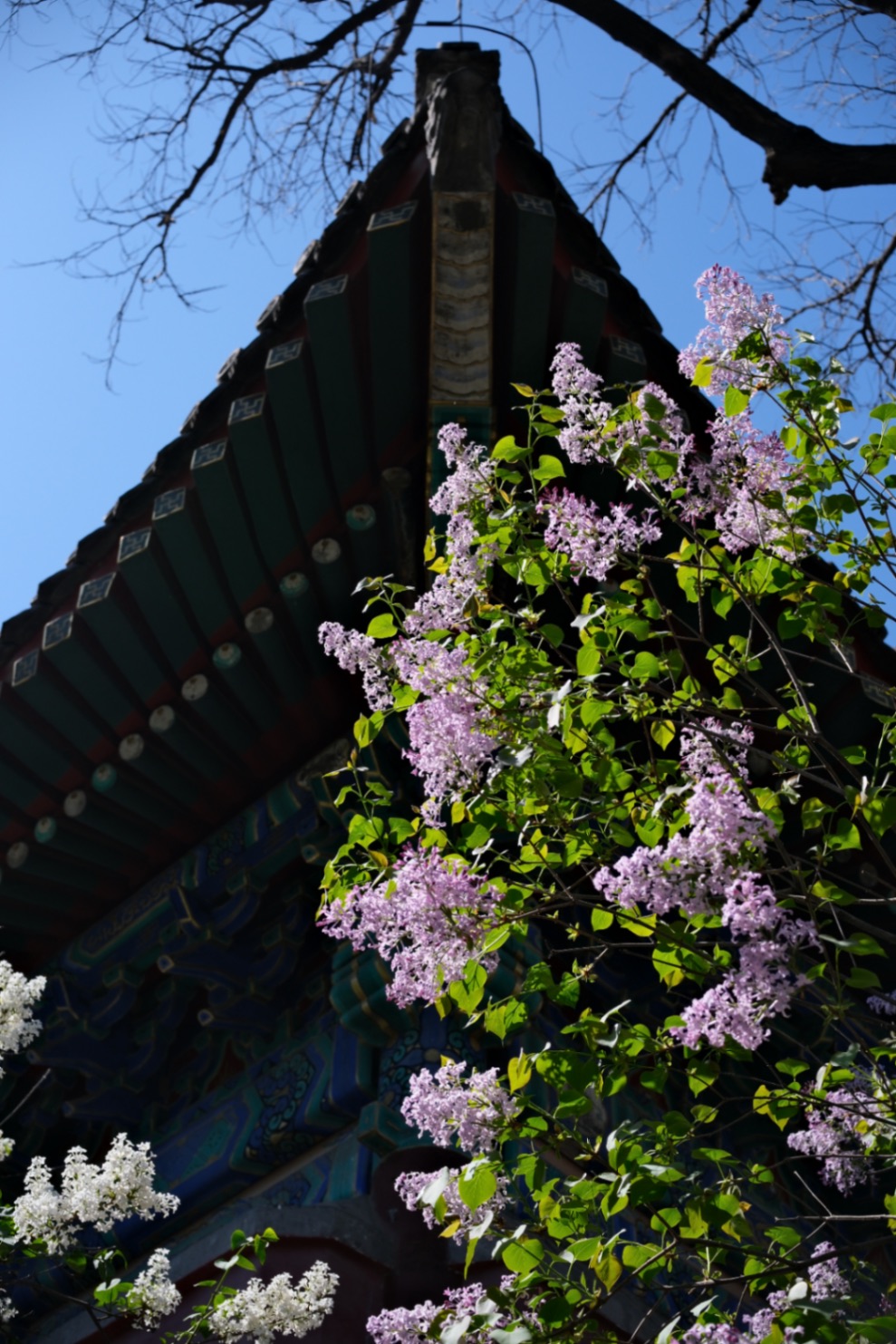法源寺的火锅