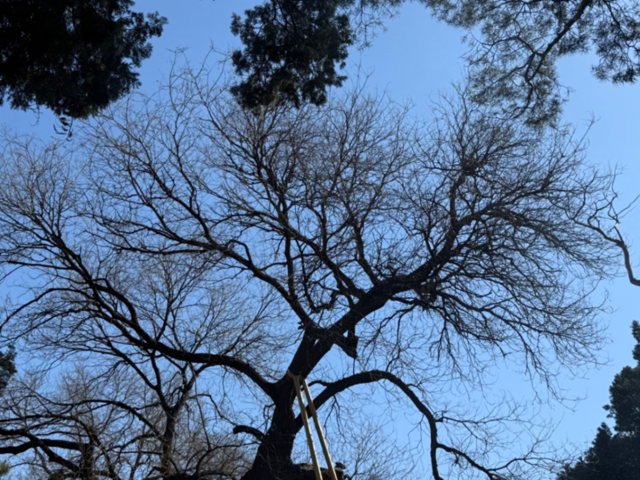 法源寺的火锅