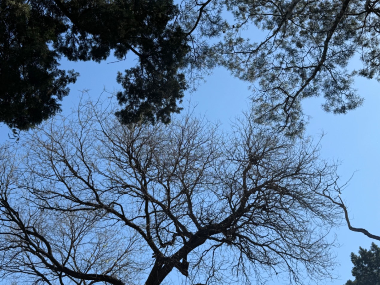 法源寺的火锅