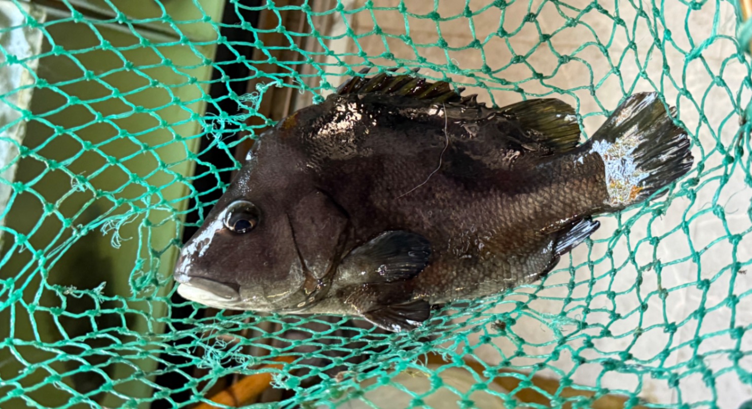 东海自驾—-霞浦
