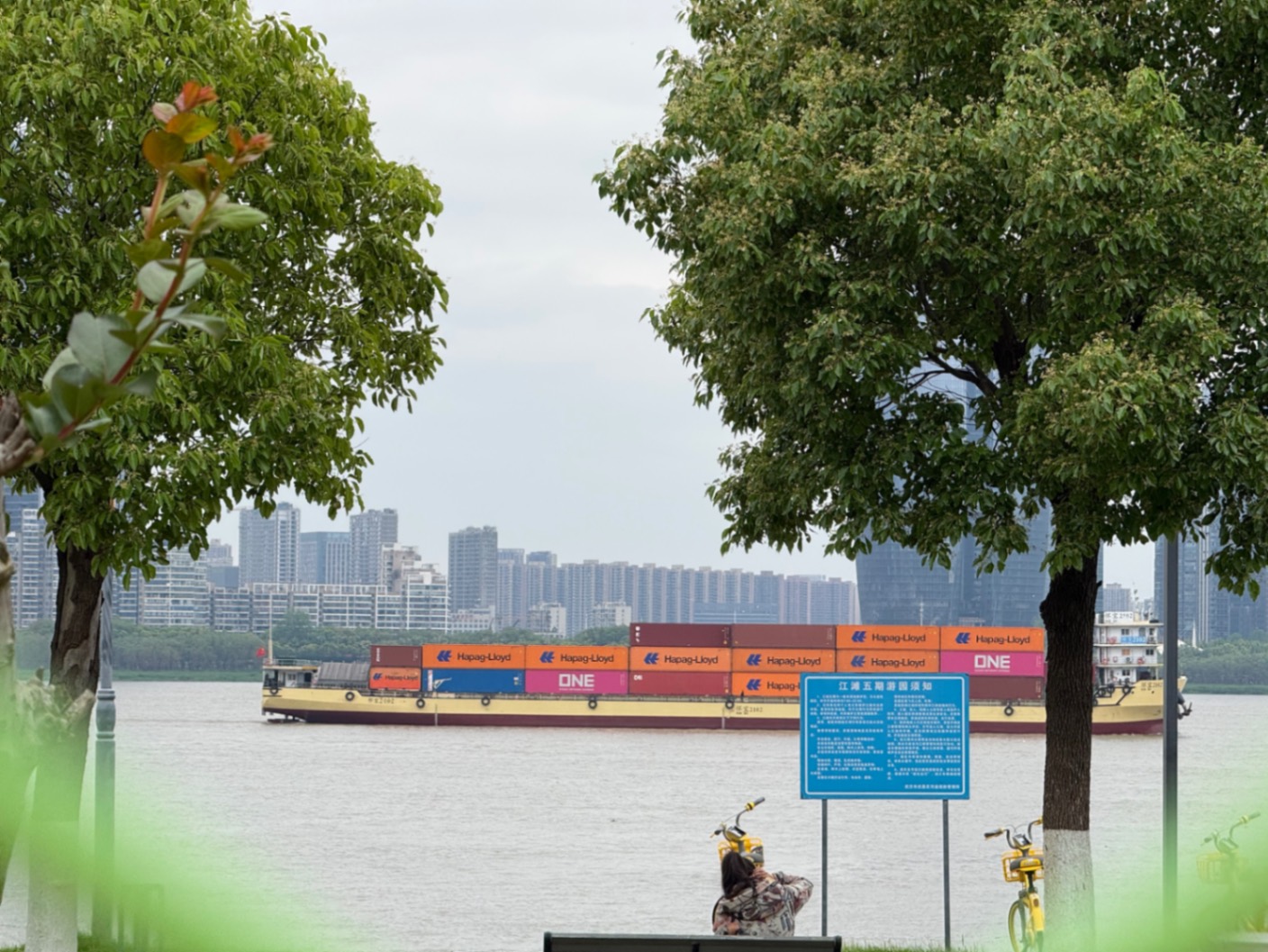 IMG_4181.jpeg
