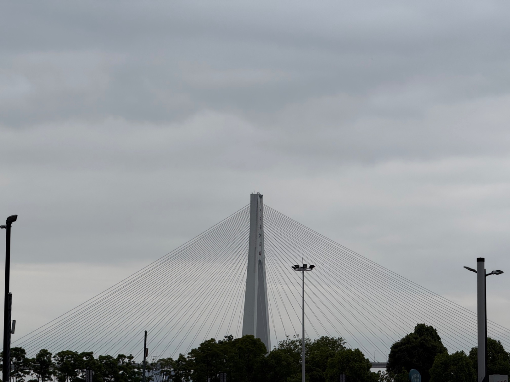 IMG_4159.jpeg